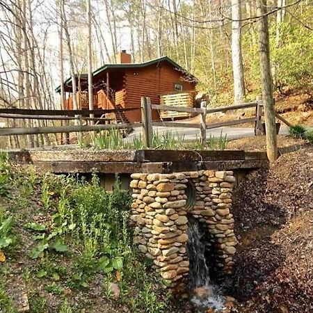 גטלינבורג The Fishing Hole Cabin - Sage Vacations מראה חיצוני תמונה