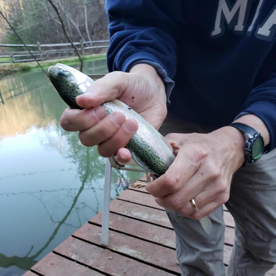 גטלינבורג The Fishing Hole Cabin - Sage Vacations מראה חיצוני תמונה
