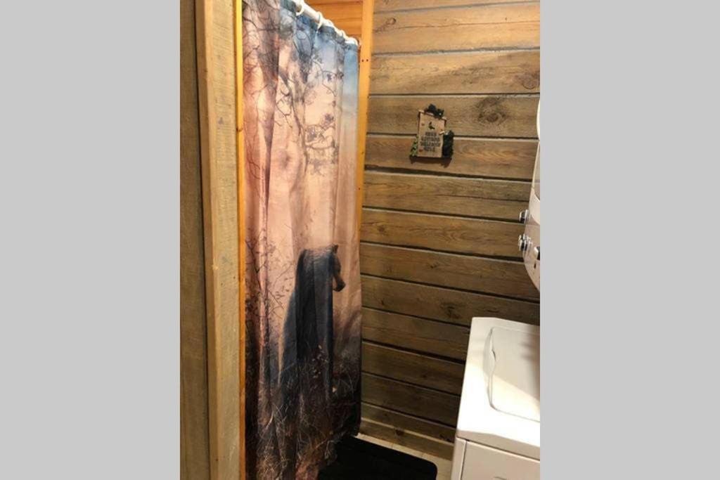 גטלינבורג The Fishing Hole Cabin - Sage Vacations מראה חיצוני תמונה