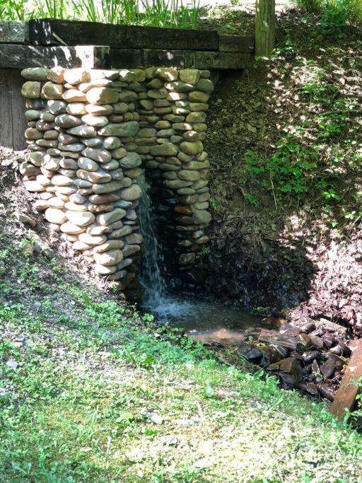 גטלינבורג The Fishing Hole Cabin - Sage Vacations מראה חיצוני תמונה